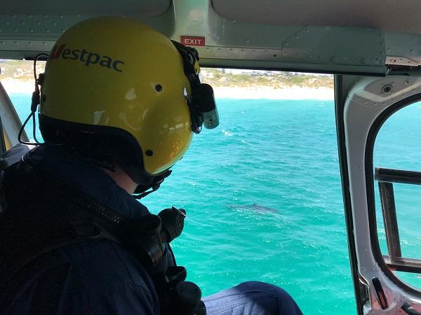 $8 million boost for WA’s scientific shark hazard mitigation strategy