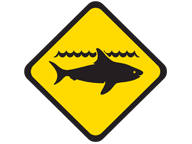 Department of Fisheries surveillance for white shark to continue at Cheynes Beach