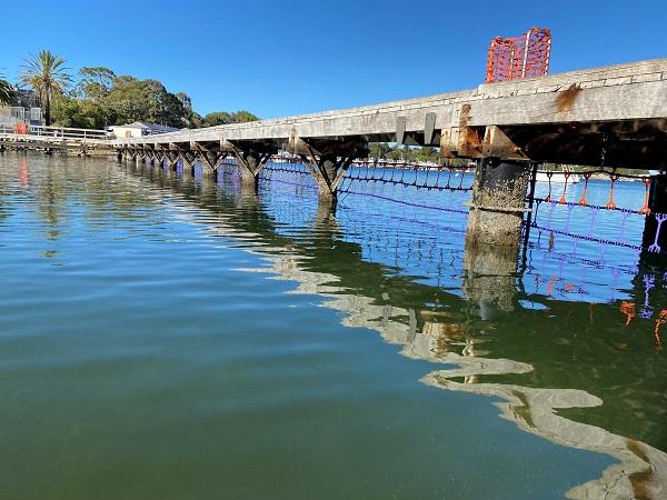 New beach enclosure for Bicton Baths this summer