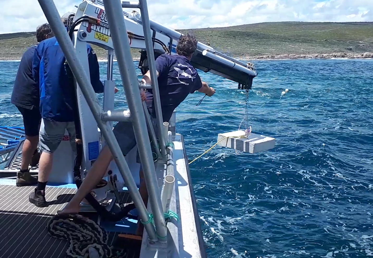 Seabed receivers to track white shark movements in WA