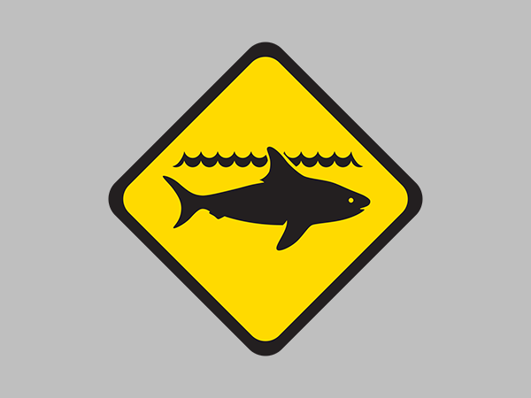 Shark ADVICE for Buller River Beach north of Geraldton