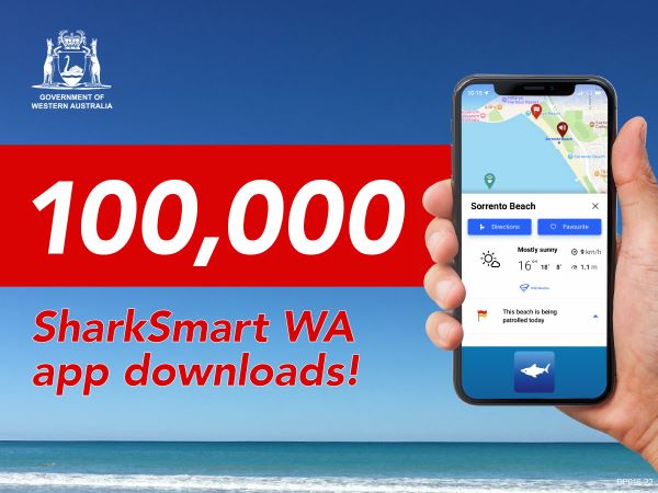 Shark alert app reaches major milestone with 100,000 downloads