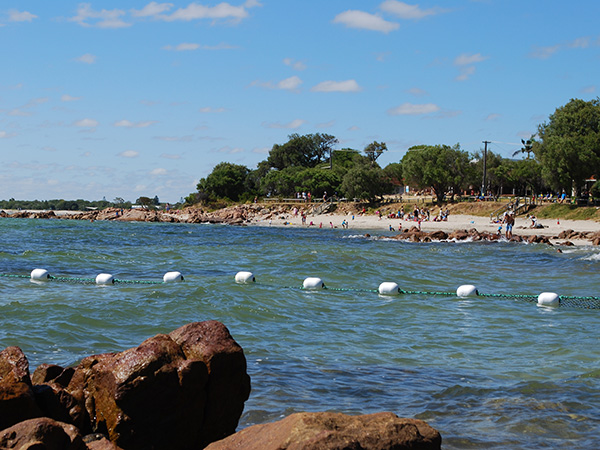 Shark barrier trial under way at Old Dunsborough