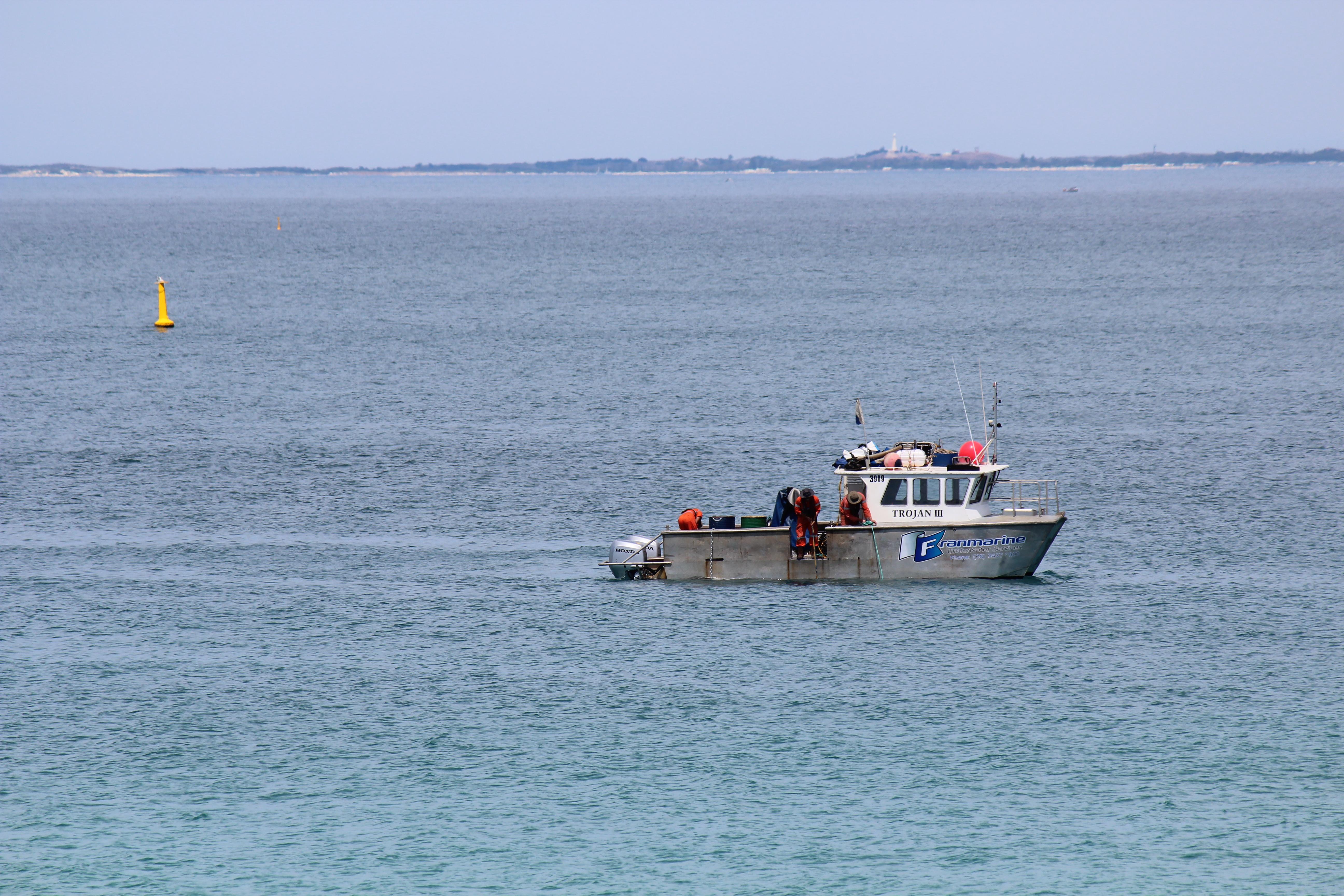 Shark detection trial to start soon at City Beach