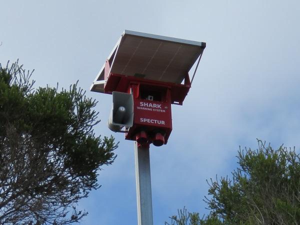 WA shark alarm technology to be used during SMART drumline trial