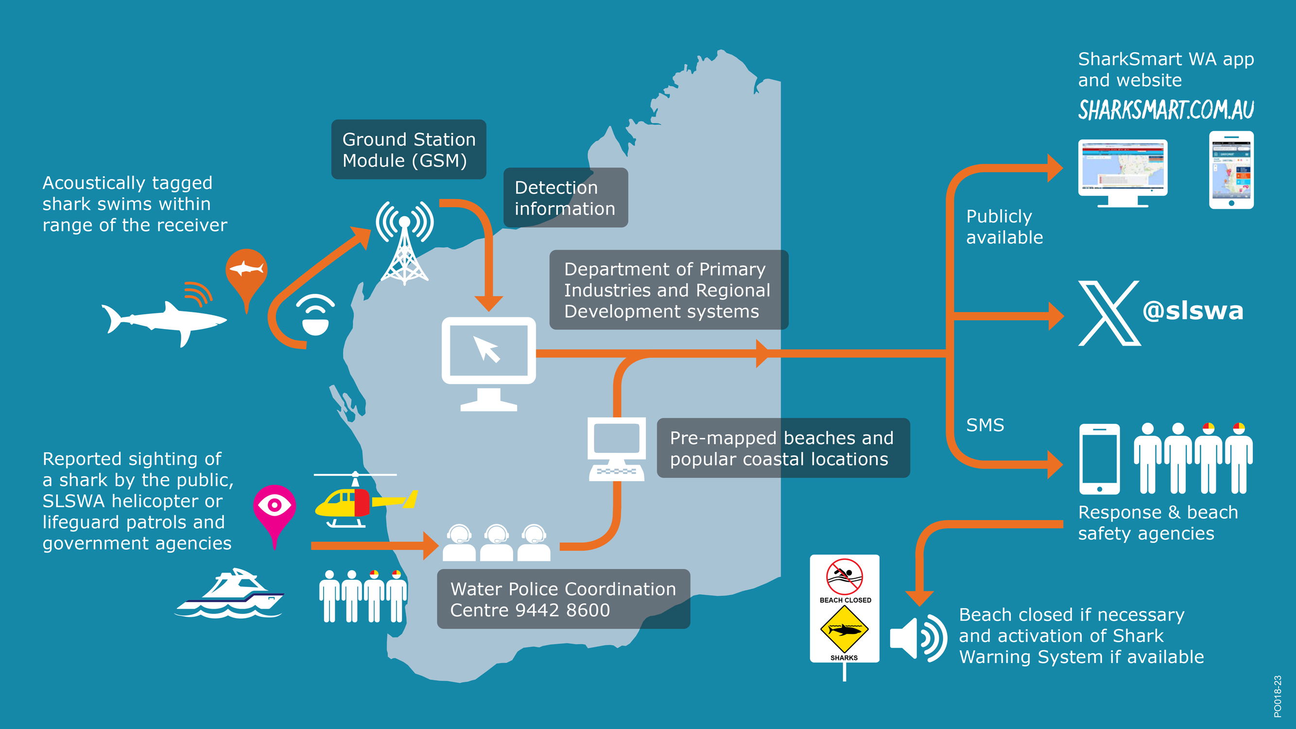 Shark Sightings, Detections & Responses