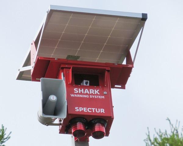 Shark Warning System